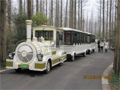 城市的另一道亮麗風(fēng)景線之無軌小火車